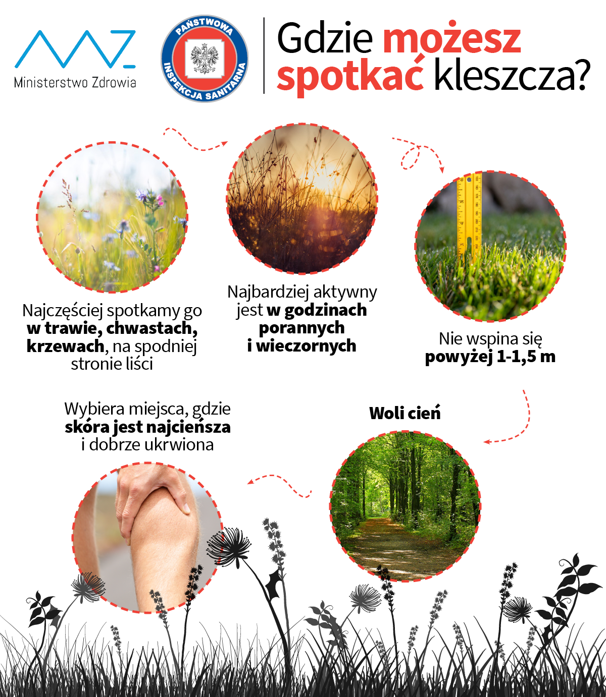 Gdzie możesz spotkać kleszcza