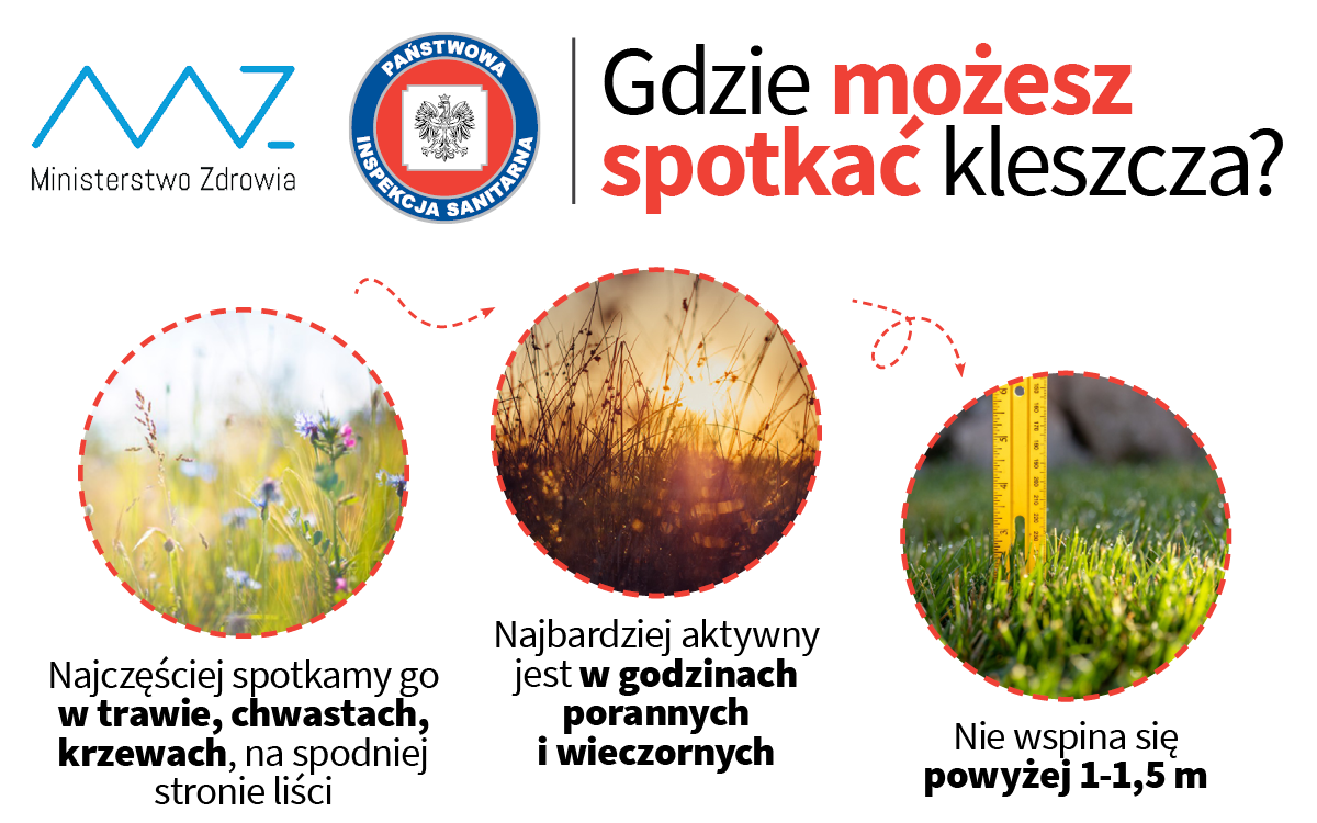 Gdzie możesz spotkać kleszcza