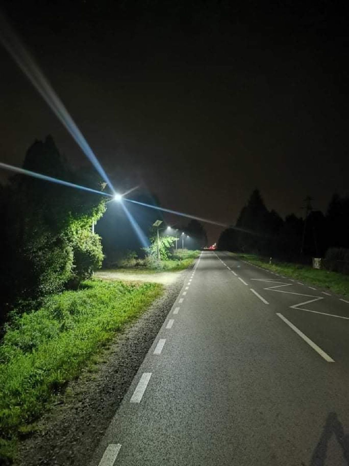 zdj. Lipienive Dolne 2