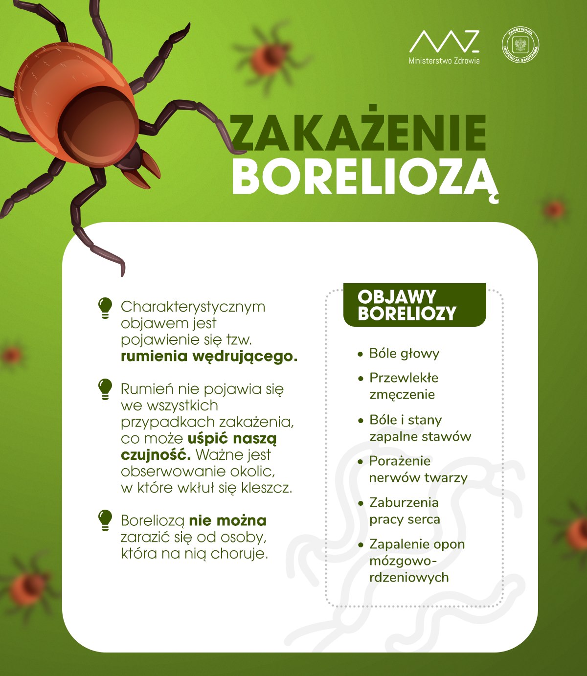 zakażenie boreliozą