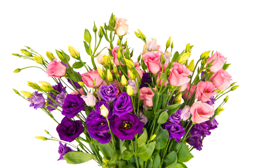 Życzenia z okazji Dnia Kobiet - bukiet