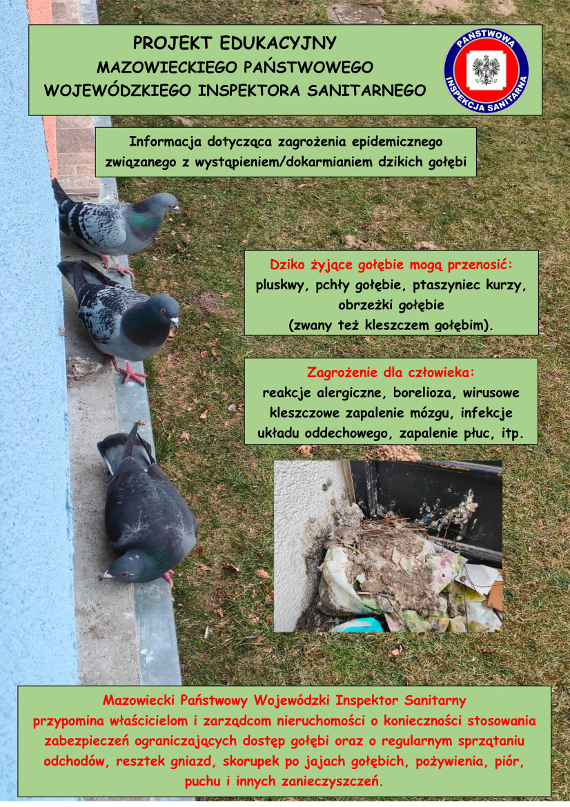 Projekt Informacyjny MPWIS ver2