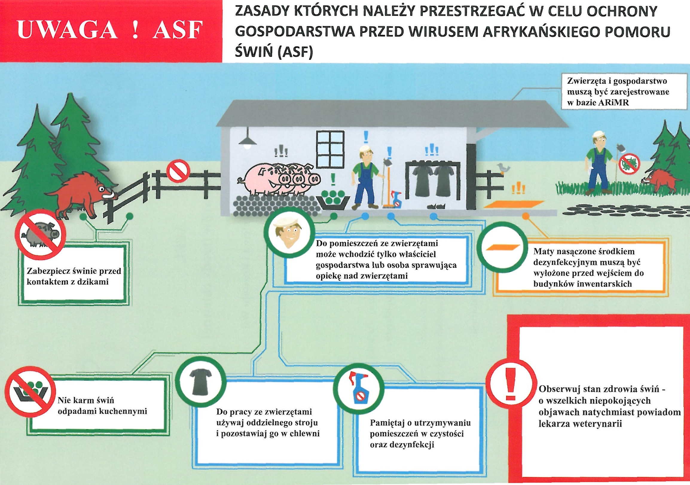 skan ulotka Uwaga ASF