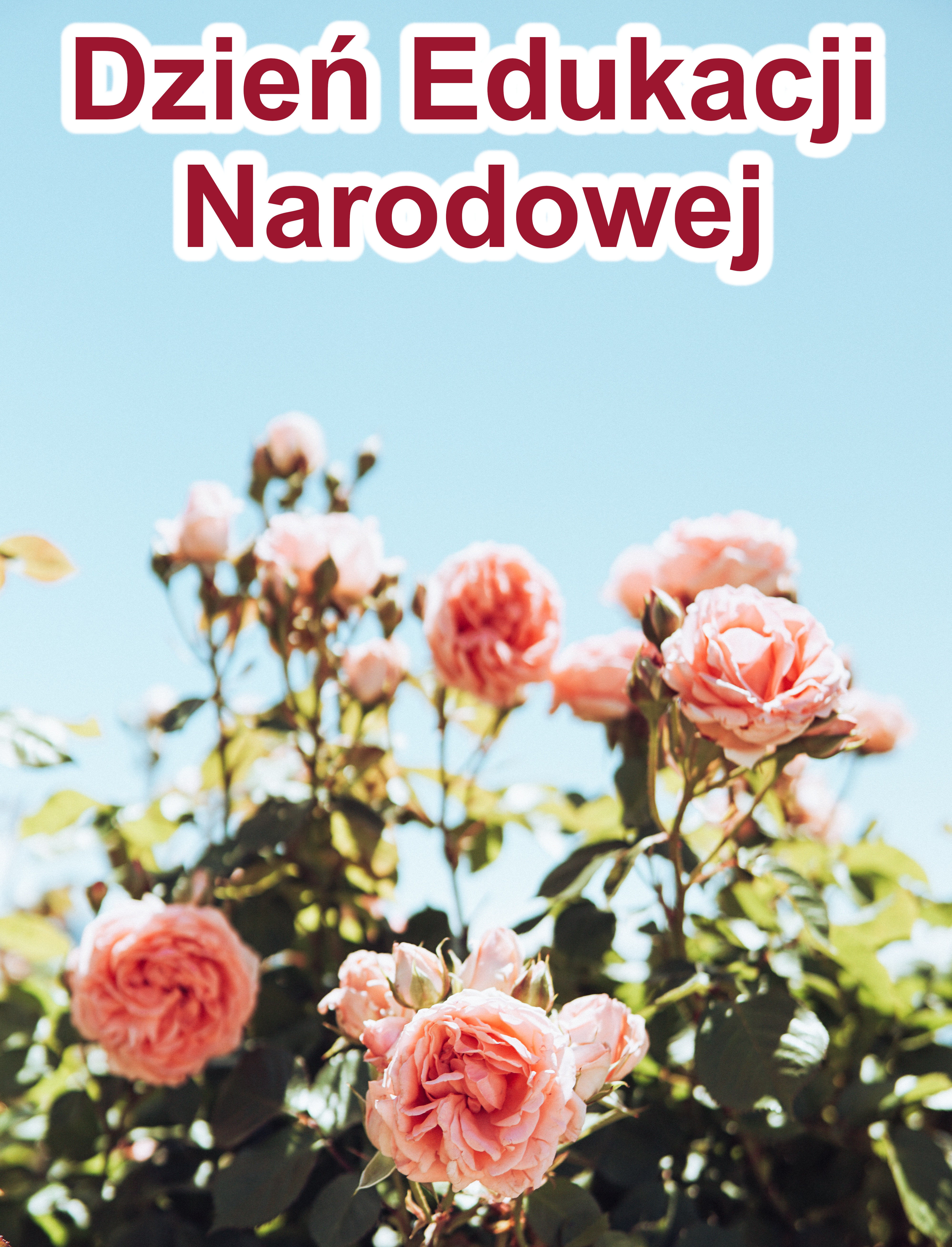 Życzenia z okazji Dnia Edukacji Narodowej 