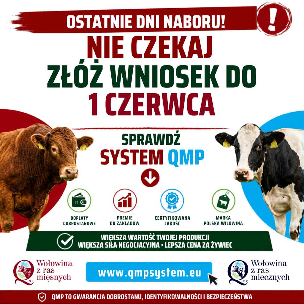 Plakat "Sprawdź System QMP"