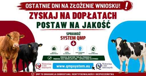 Baner "Sprawdź System QMP"