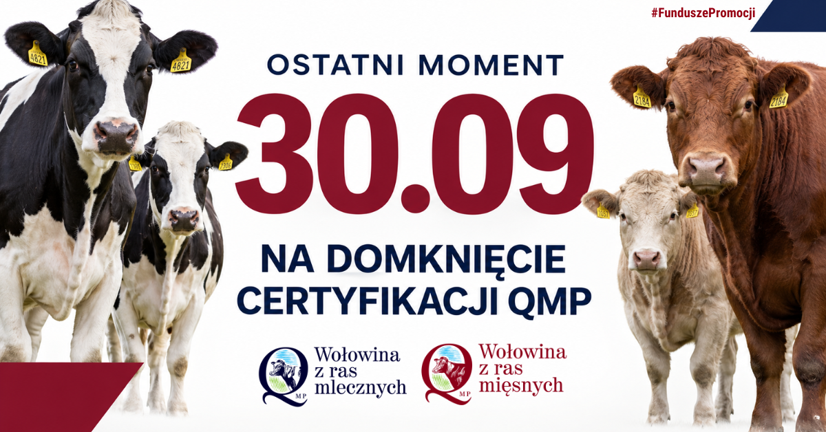 Baner "Certyfikat QMP — termin uzyskania upływa 30 września 2026 r"